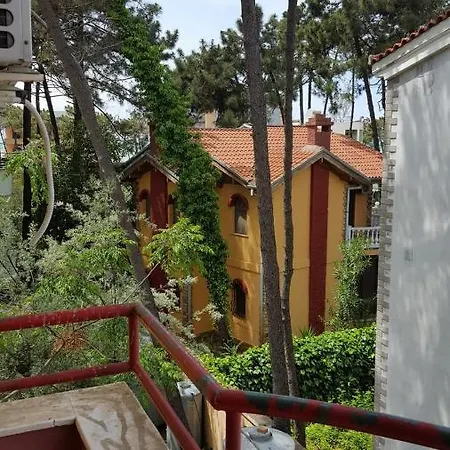 Viva Golem (Tirana)